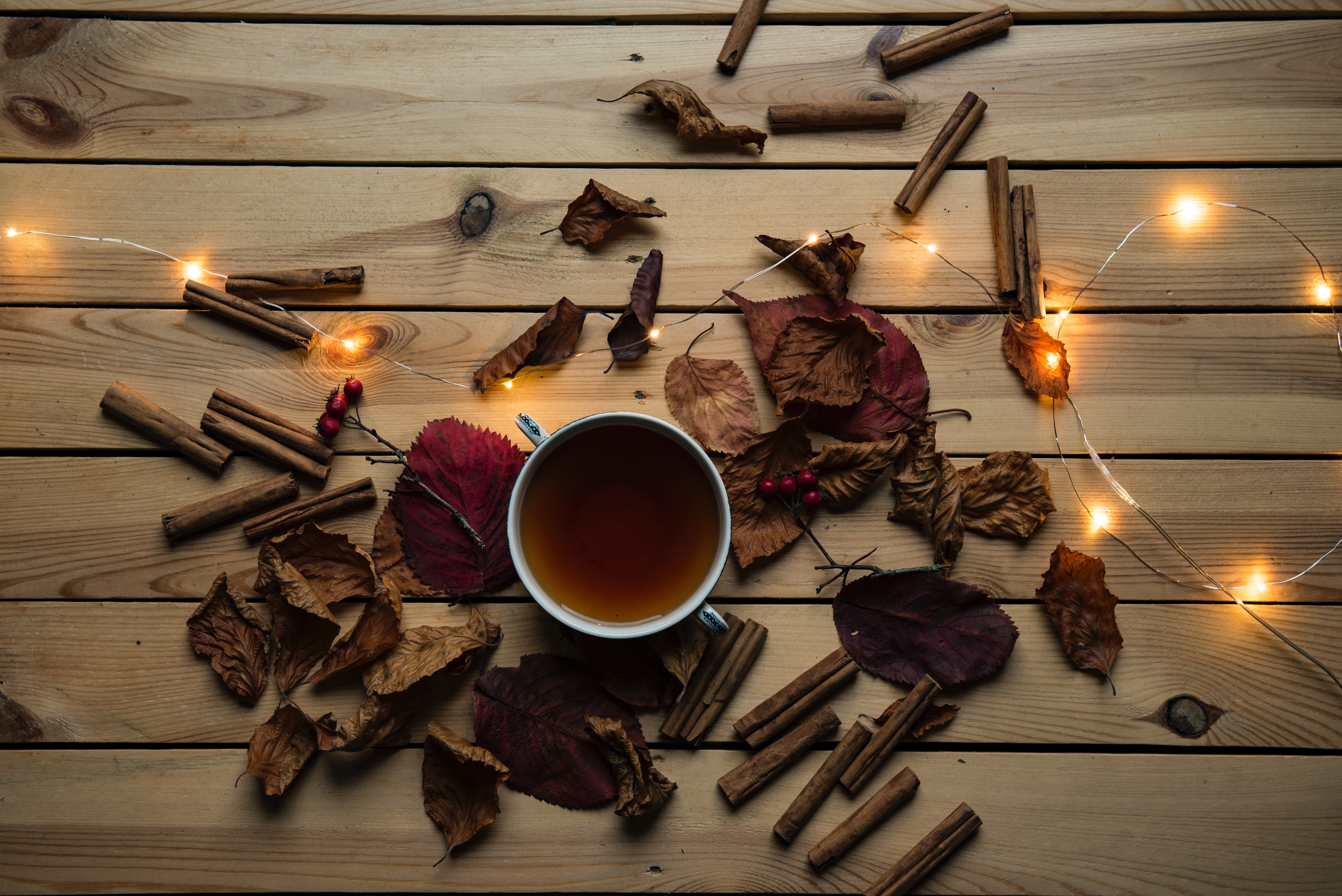 Lights, leaves, and mug on wood table