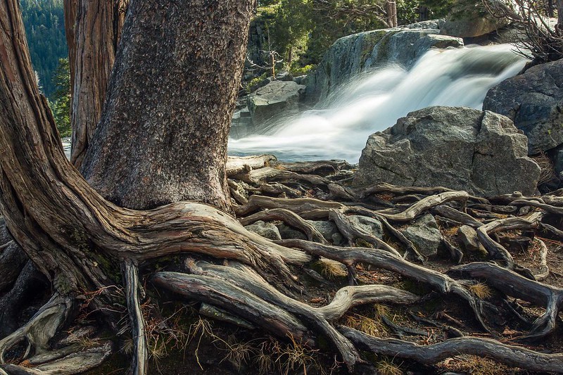 Near Lake Tahoe, CA. Wood, water, rock....the story of the Sierras.