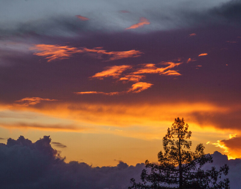 Purple and orange sunset with clouds over a lone pine