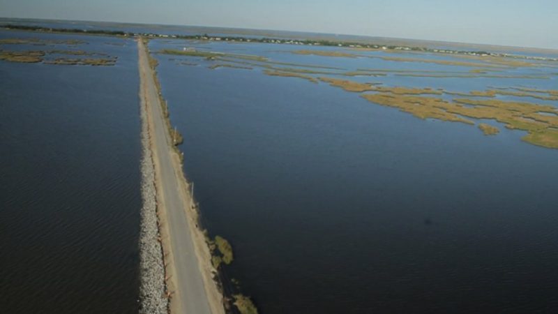 Long highway in marsh