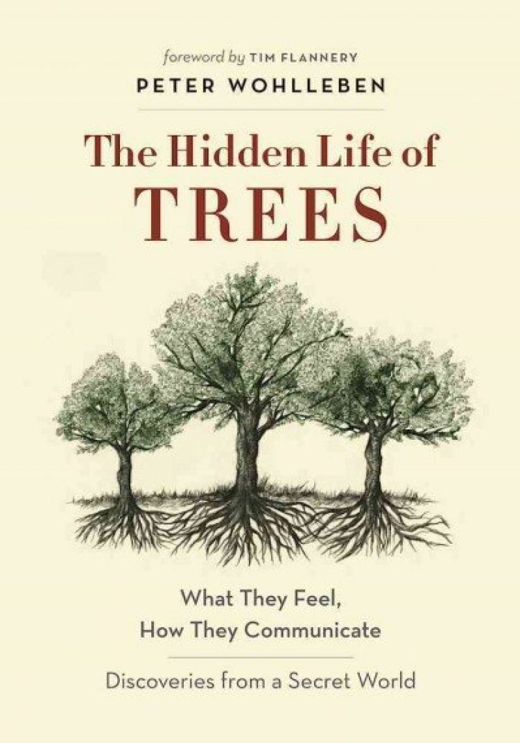 Cover of The Hidden Life of Trees