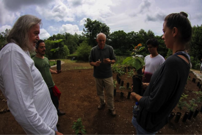 Alan Wright in Veracruz