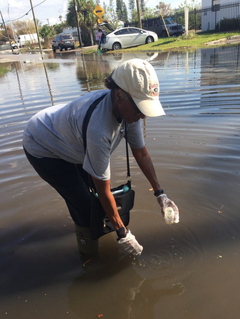 Beverly Ward Collecting Tidewater Sample