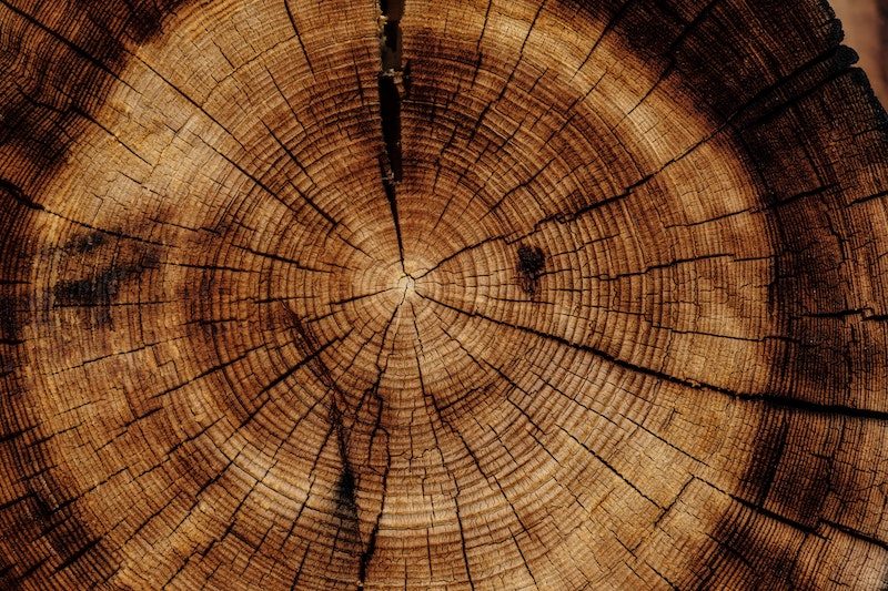 Rings of Tree