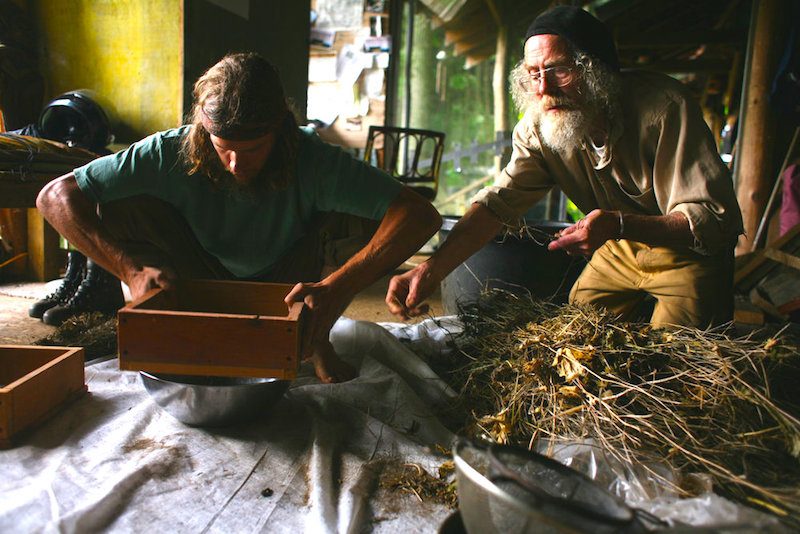 Master Chinese herbalist Joe Hollis with young apprentice in his apothecary at Mountain Gardens, Celo, North Carolina.