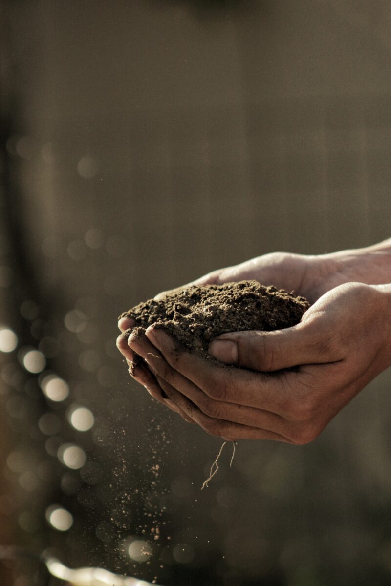 Person's hands holding soil