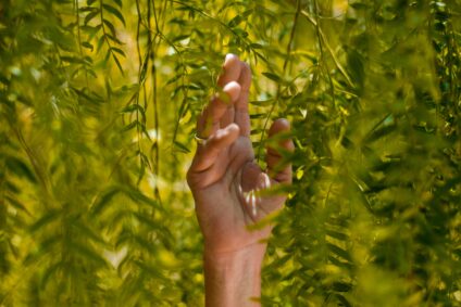 Hand in plants
