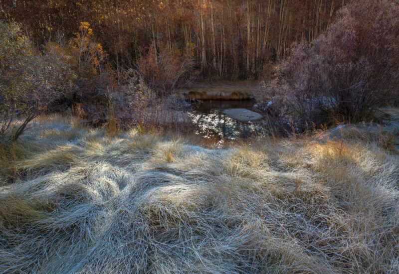 A frosty Sierra morning, about 10,000' elevation. Fall has arrived in the mountains,with its sweet morning light.