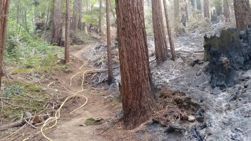 The CZU Lightning Complex fire was stopped here, along the Fawn trail at Ben Lomond Quaker Center. Photo: Bob Fisher.