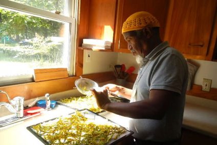 Community member El Ha Ghan sort herbs as part of the Diaspora Earthcare Coalition’s medicinal herb production project.