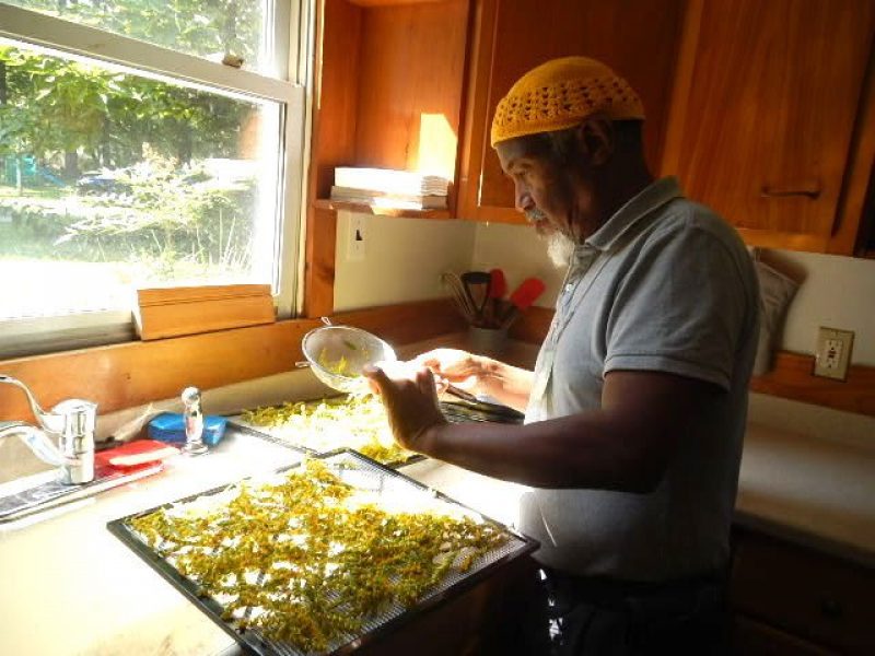 Community member El Ha Ghan sort herbs as part of the Diaspora Earthcare Coalition’s medicinal herb production project.