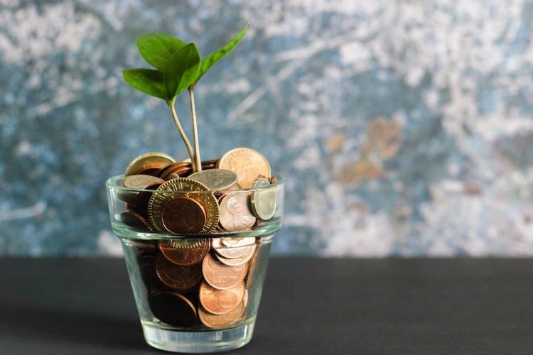 Glass filled with pennies and nickels with small plant growing out of it