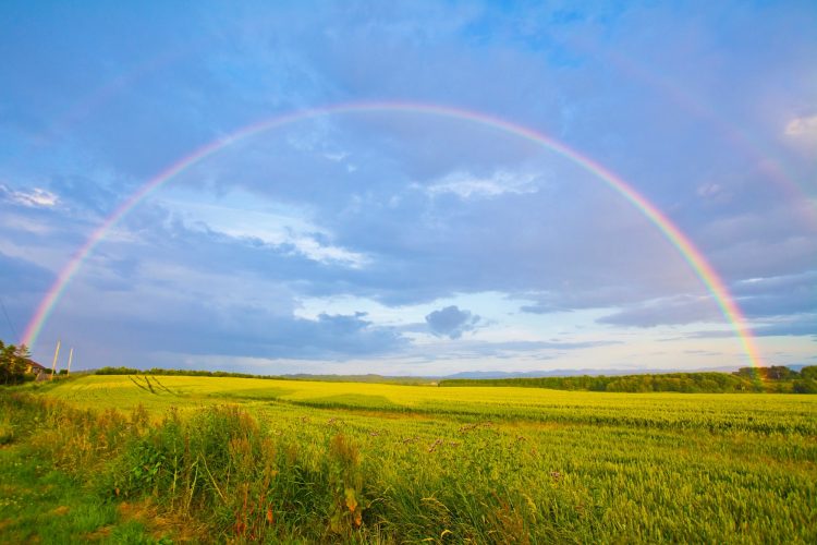 Rainbow in green field with blue sky