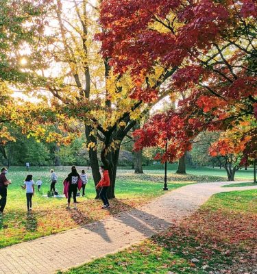 Indiduals playing in park with maple trees changing color