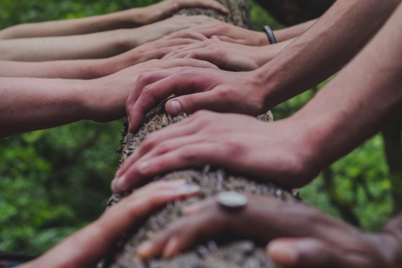 Hands on log