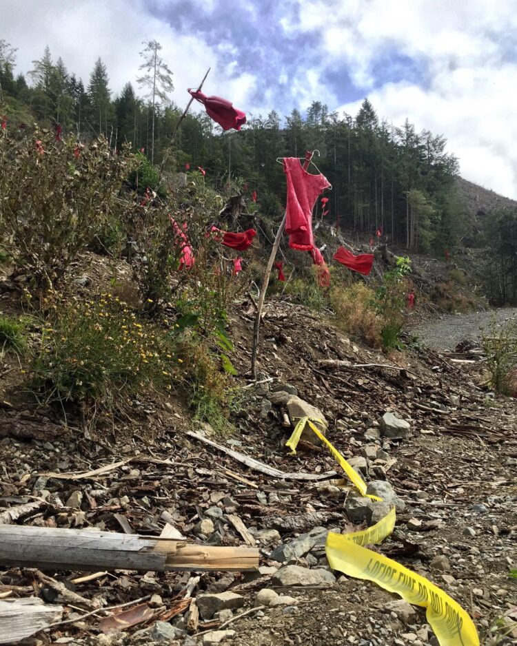 Mountainside with red dresses hanging amid the bushes and trees