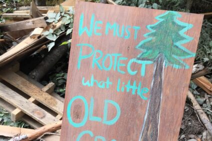 Wooden sign with green paint: We must protect what little old growth remains" with a picture of a tree and a heart painted on