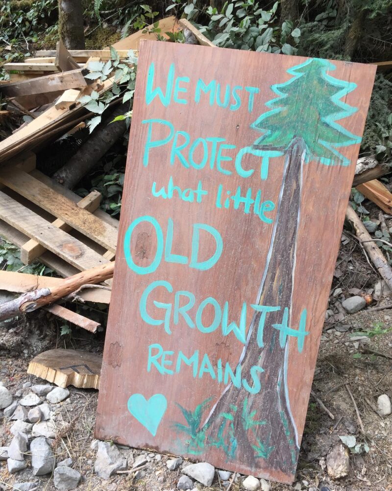 Wooden sign with green paint: We must protect what little old growth remains" with a picture of a tree and a heart painted on