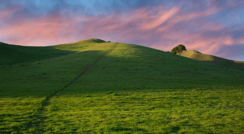 Green grassy hill with path to the top and blue sky with pink clouds