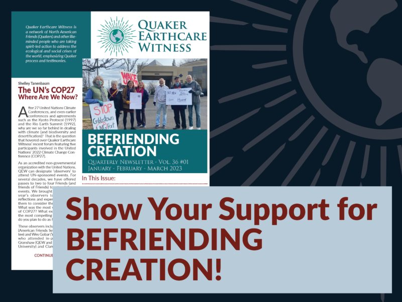Show your support for BeFriending Creation