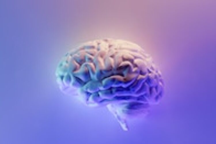 Purple brain image