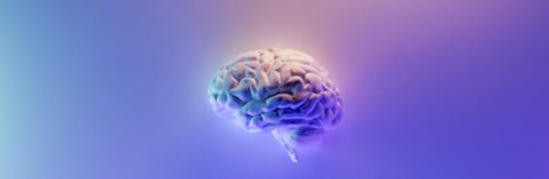 Purple brain image