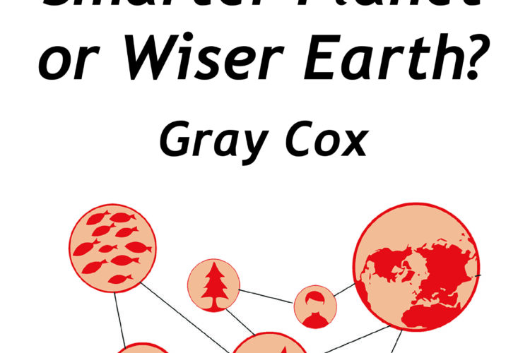 Front Cover of Smarter Planet or Wiser Earth?